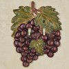 Touch of Class Grape Harvest Realistic Grapes Double Switchplate -