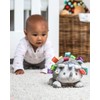 Mary Meyer Taggies Soft Toy, Heather Hedgehog, 8 Inch (Pack