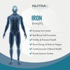 Iron PRO Complex (Dual Action Iron 2 Forms) Bisglycinate &
