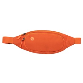 Long Keeper Bumbag Waist Fanny Pack for Women Men Waterproof Adjustable Belt Bag Waist Bag Small Fashion Bum Bag for Dog Walking Running Travel Sports