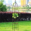 Obelisk Garden Trellis 6.3 Feet Tall Sturdy Plant Support for