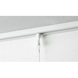 pikutya-re-ru L Hooks Amp Hook A (Ceiling) For 後入re Type White, 5 Pack Made by to-so-