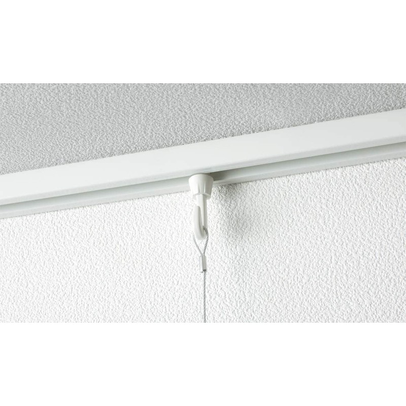 pikutya-re-ru L Hooks Amp Hook A (Ceiling) For 後入re Type