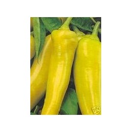 Pepper Sweet Banana Great Heirloom Vegetable 100 Seeds by Seed Kingdom
