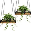 Plant Hanger Indoor, 2 Pack 11.8" Wooden Hanging Plant Holder