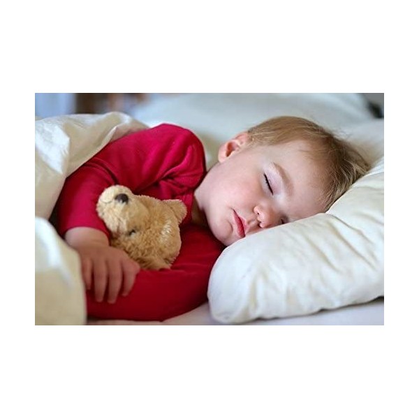 SAHARBEDDINGS Toddler Travel Pillowcase 12x16 500 Thread Count Pack of