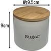 Ishigaki DL 4351 Sugar Pot, White, 10.1 fl oz (300