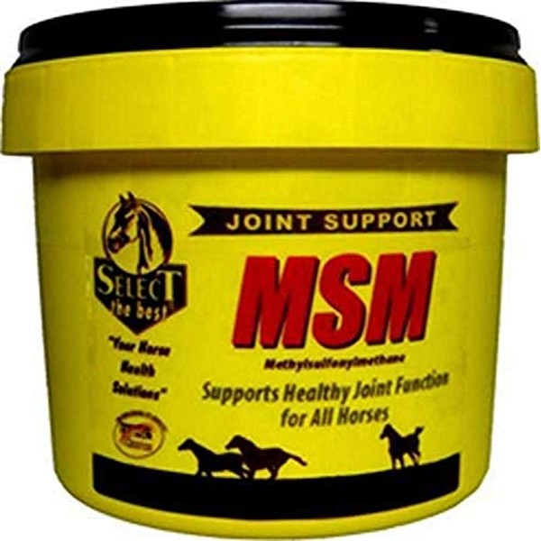 RICHDEL 784299401006 Msm Powder Joint Support for Horses Pet Hip and Joint Care, 10 lb