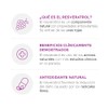 Vitasei Colágeno Hidrolizado Base Soya Sabor Coco Edulcorantes Resveratrol Extracto