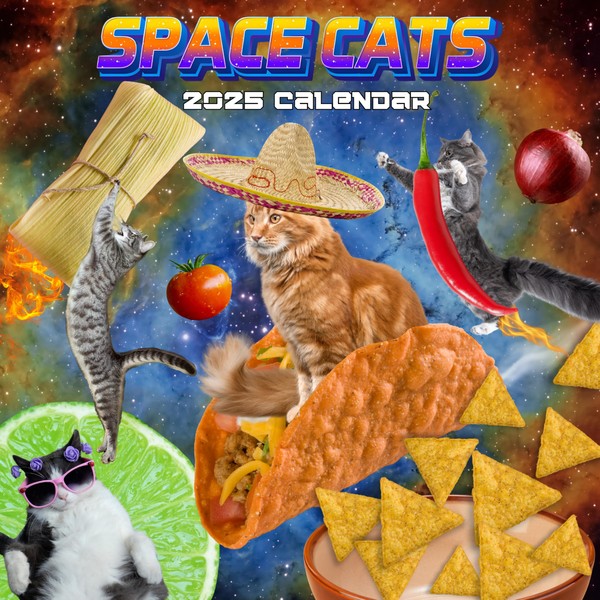 Space Cats Calendar 2025 | Funny Cats Calendar Adventures |