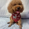 3 Pcs Dog Bandana, MH MOIHSING Christmas Dog Scarf Bandana