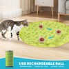 Jieffifa Interactive Cat Toys, Fast Rolling Ball in Play Mat,