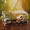 CiCixixi Transparent Acrylic Terrarium, 360° View, for Reptiles and Insects,