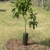20PCS Plant and Tree Guard Protector, Tree Trunk Protector Around