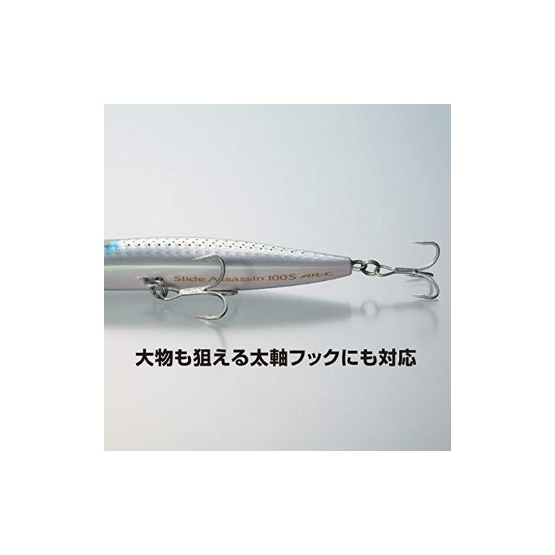 Shimano XL-210R 015 Exsense Sliding Assassin 100S X AR-C Sinking