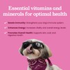 Multi Chews for Dogs by Just Vet Vitamins
