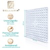 Delluxia Shower Mat Non-Slip 53 x 53 cm Including 2