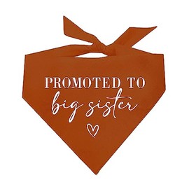 Promoted to Big Sister Baby Announcement Dog Bandana (Dark Orange, OS 638)