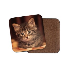 1 x Cute Tabby Kitten Coaster - Cat Baby Kitty Cute Pets Animals Girls #15946