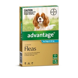 Advantage For Medium Dogs (4-10kg)- 6 Pack
