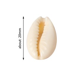 100 Pcs Natural Spiral Oval Seashells: Beach Sea Shells for Crafts)