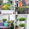 Plantas Artificiales 12 Piezas, 15,5"Artificial Hierba de Trigo Decoraciones, Resistentes