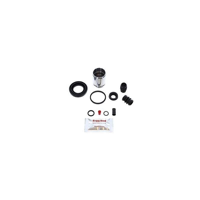 Bigg Red - Rear Brake Caliper Repair Seal Kit &