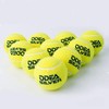 Odea Silver Training Tennis Balls,Good Bounce and Wear-Resistant,Suitable for Advanced