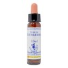 Healing Herbs/Flower Essence [Star of Bethlehem]
