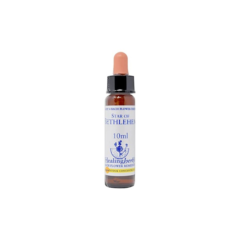 Healing Herbs/Flower Essence [Star of Bethlehem]