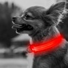 BSEEN LED Dog Collar - Rechargeable Light Up Dog Collar