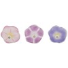 (Pack of 3) Kaze Guruma Morning Glory | Kaze guru