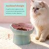 Meirivrn Ceramic Elevated Slow Feeder Cat Bowl, Tilted Flower-Shaped Cat