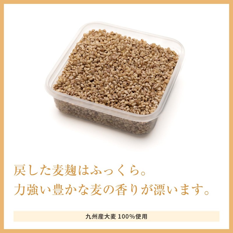 Kojiya Honten Dried Malt Malt, 12.8 oz (350 g) (17.1