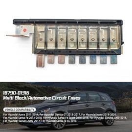 GOLACOD 18790-01316 Multilink Fuselink Compatible with Hyundai Tucson 2009-2017 Hyundai Sante Fe 2013-2018 Multi Fuse Block Fuse Box