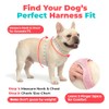 Best Pet Supplies Arnés Voyager Step-in Air de Malla para