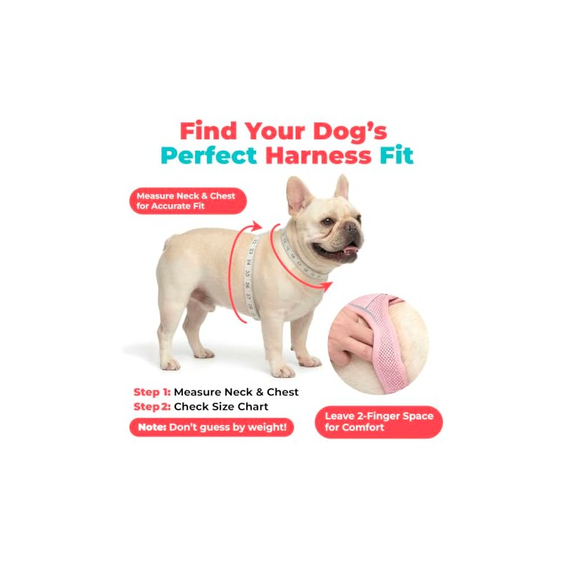 Best Pet Supplies Arnés Voyager Step-in Air de Malla para