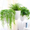 Sungmor 3 Pack Self Watering Hanging Planters, Unique Eggshell Shape