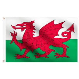 Wales Flag 5ft x 3ft for St David's Day Party Decorations, Large Welsh Flags with Brass Eyelets for Football Sports Events Decoration