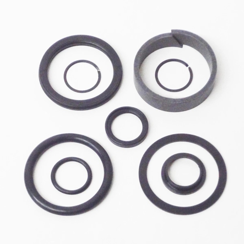 Forward Lift 2 post Cylinder Seal Kit / rebuild kit