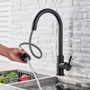 Kitchen Sink Faucet Black Pull Down/Out Sprayer Swivel Single Handle