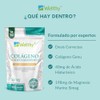 Wellthy Colageno Magnesio Acido Hialuronico Capsulas 100 Natural Peptidos Hidrolizado