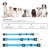 Reflective Nylon Pet Collar with Quick-Release Buckle – Adjustable, Durable,