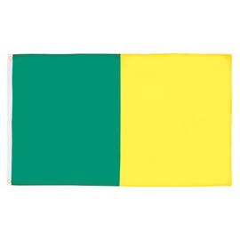 AZ FLAG - Flagge Grün Und Gelb - 90x60 cm - Irish County Fahne 100% Polyester mit Messing-Ösen - 50g