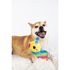 Pearhead Puppy Pinata Dog Toy, Rope Tug Toy for Dogs, Colorful Interactive Dog Toys, Party Pinata Toy for Dogs, Plush Chew Toy, Pet Owner Must Have Toy