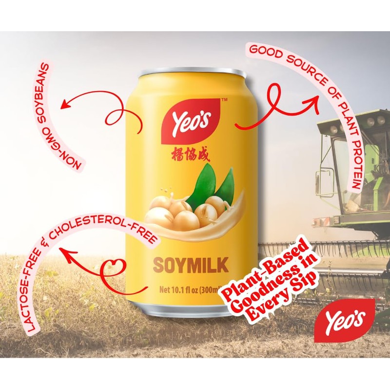 Yeo’s Soymilk Drink 10.1 fl oz (300ml) – Plant-Based Goodness