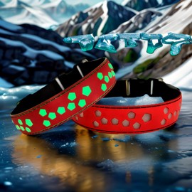 LED Dog Collar, 15 Light Modes, USB-C Rechargeable, Glow Light up Dog Collar (RED, L(15.7-19.7"))