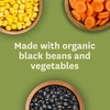 Amy's Soup, Vegan, Gluten Free, Organic Black Bean Vegetable, Low