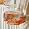 Newpol （Large Size） 3 Gallon Plastic Fish Bowl, Aquarium Fish