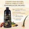 Kaisasa Shampoo Con Tinte Cubre Canas Natural Jengibre Negro